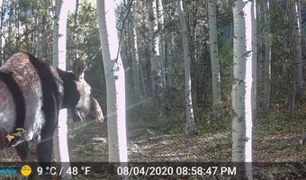 NHN Lost Creek Rd, Anaconda, MT 59711