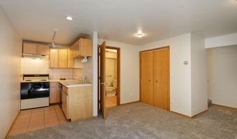 311 Midland Ave, Aspen, CO 81611