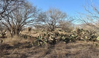 CR 119 lot 0, Alice, TX 78332