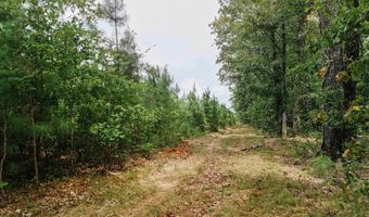 Copeland Ridge Road, Arkadelphia, AR 71923
