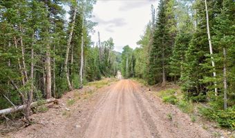 384 N 275 E 61, Brian Head, UT 84719