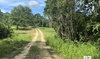 3470 Bell Fork Rd, Atmore, AL 36502