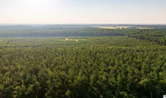 CARPENTER ROAD, Bastrop, LA 71220