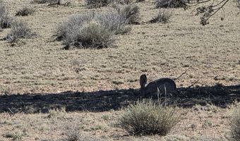 Tanner Rd lot 8B, Ash Fork, AZ 86320