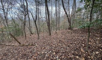 Honey Creek Loop Rd, Allardt, TN 38504