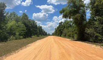 Hocking Street, Alford, FL 32420