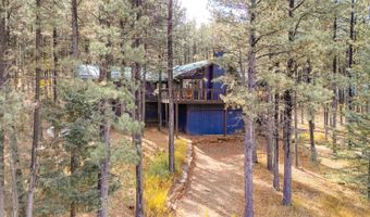 57 Sarazen Ter, Angel Fire, NM 87710