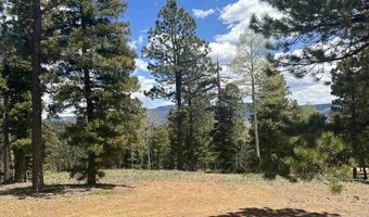 Lot 91ab Pam Coleman Drive, Angel Fire, NM 87710