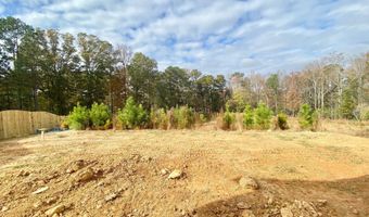 99 Baird Cove Ln 173, Angier, NC 27501