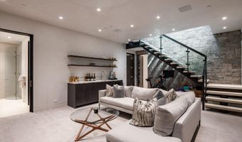 1154 E Cooper Ave B, Aspen, CO 81611
