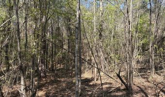 SW Auburn Drive, Bogue Chitto, MS 39629