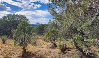 912 Westwood Rnch, Ash Fork, AZ 86320