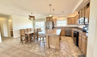 1411 Tokay Ave, Carlsbad, NM 88220