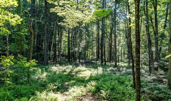 Great Hollow Road, Cornwall, CT 06753