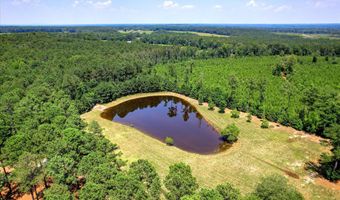 3450 Summerland Hwy, Batesburg Leesville, SC 29070