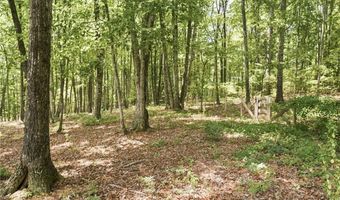 151 Settlers Ridge Dr, Ball Ground, GA 30107