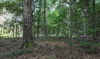 Highway 112, Abbeville, GA 31001