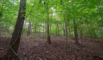 State Route 550, Amesville, OH 45711