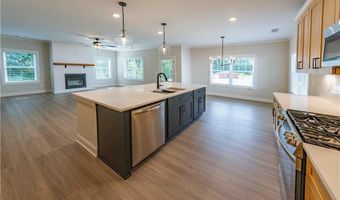 373 Creek Wood Park Dr, Ball Ground, GA 30107