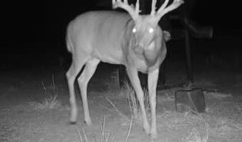 1299 E US HWY 160, Argonia, KS 67004