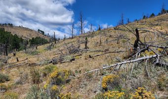 Nhn Plaindealer Lode Depot Hill Road, Boulder, MT 59632