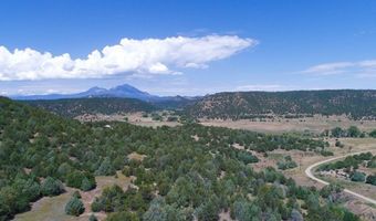 25850 River Pines Rd, Aguilar, CO 81020