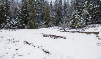 84 Hagans Hallow Rd, Careywood, ID 83809