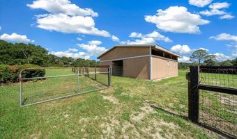 3551 NE 120TH St, Anthony, FL 32617