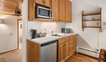 301 E Hyman Avenue 202, Aspen, CO 81611
