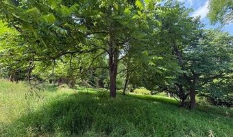 FOX RUN lot 24A 3.22 Ac, Baker, WV 26801