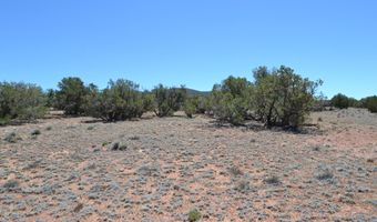N8604, Concho, AZ 85924