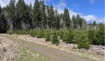 Northrup Creek Rd, Birkenfeld, OR 97016