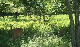 Shakespeare Drive, Albrightsville, PA 18210