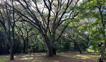 578 Brownsville Rd, Apalachicola, FL 32320