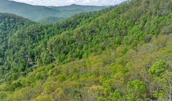 21 Reillys Bluff Rd 1, Barnardsville, NC 28709