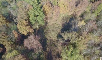 Holloway Landing Road, Barlow, KY 42024