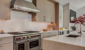 100 Park Ave, Aspen, CO 81611