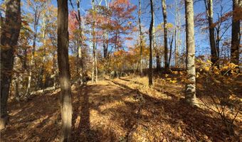 Tbd Larkspur Trail, Banner Elk, NC 28604