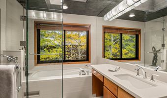 650 S Monarch St 9, Aspen, CO 81611