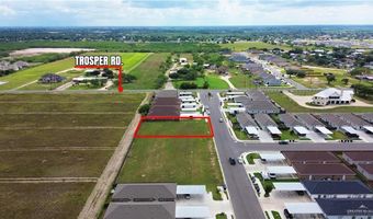 812 Sunset Vly, Alton, TX 78573
