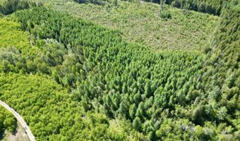CR 557 40 Road, Arnold, MI 49819