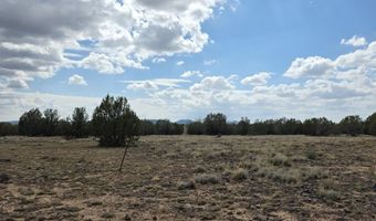 64 Antelope Run, Ash Fork, AZ 86320