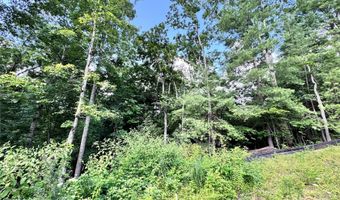 3 Winter Hawk Dr 1, Arden, NC 28704