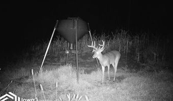 560 Th Ave, Albia, IA 52531