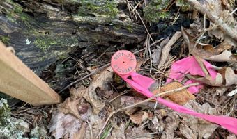 00 Coal Branch Rd, Beattyville, KY 41311