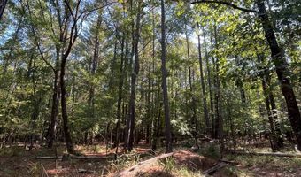 0 Nick Creek Rd, Bernice, LA 71222