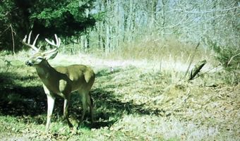 001 Farr Rd, Bolton, MS 39041