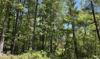 TALLMAN HOLLOW ROAD, Montoursville, PA 17754