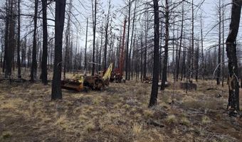 Bull Pine Road 173 Acres, Bly, OR 97622