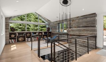 1180 Black Birch Dr, Aspen, CO 81611